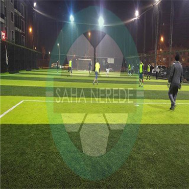 duzce park arena hali saha