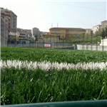 İstanbul Halkalı İFA Spor Klubü Halı Saha Tesisleri