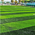 Kocaeli Emex Otel Çim Futbol Arena