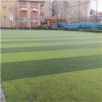 İstanbul Esenler Futbol Center